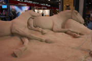 Sand Horses