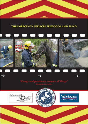 Emergency Services Protocol Flyer