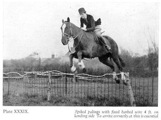 Horse jumping spiked palings with barbed wire