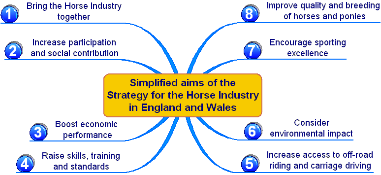 Simplified Strategy and Aims diagram